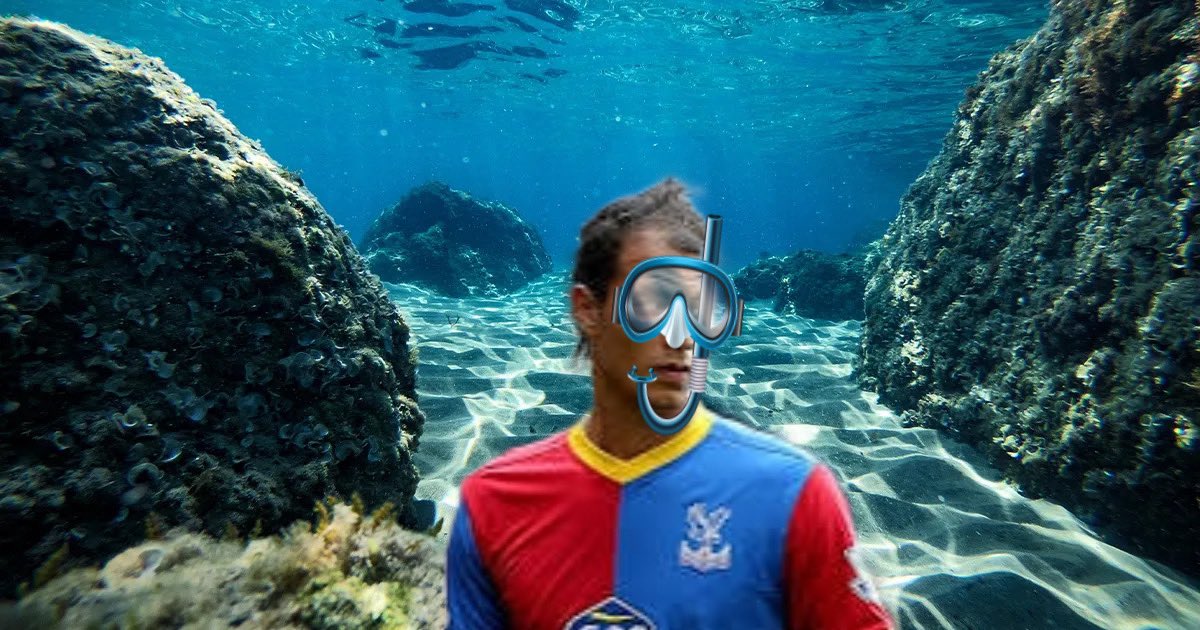 Marine Chamakh