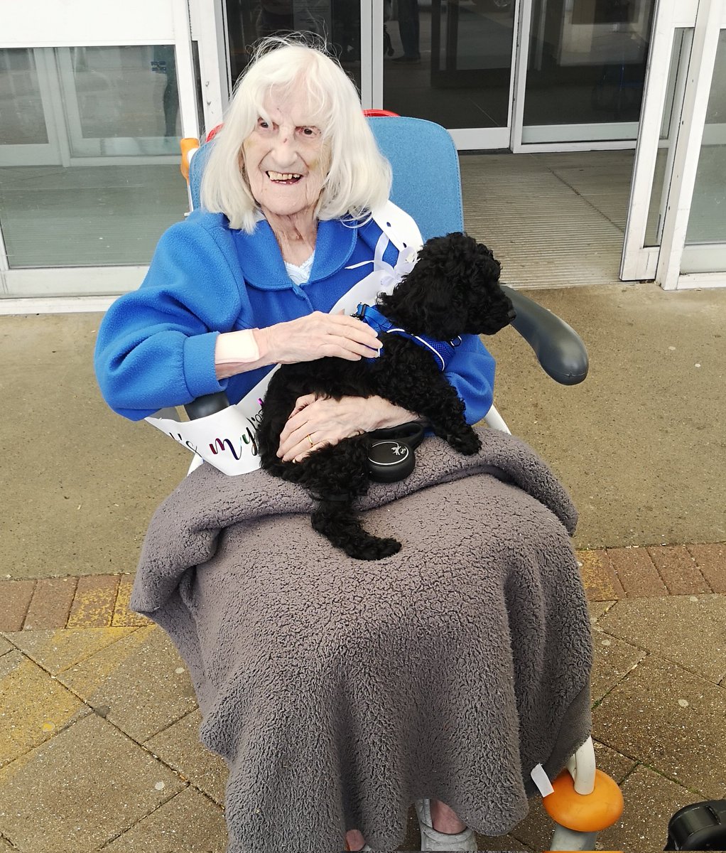 JonnySutts's tweet photo. My Nan was 95 today and for 5 minutes she was allowed out of hospital to meet Ledley

When 'The King' met 'The Queen'

#Ledley #Cockapoo #HappyBirthday #Nan https://t.co/BKaANfIdDe