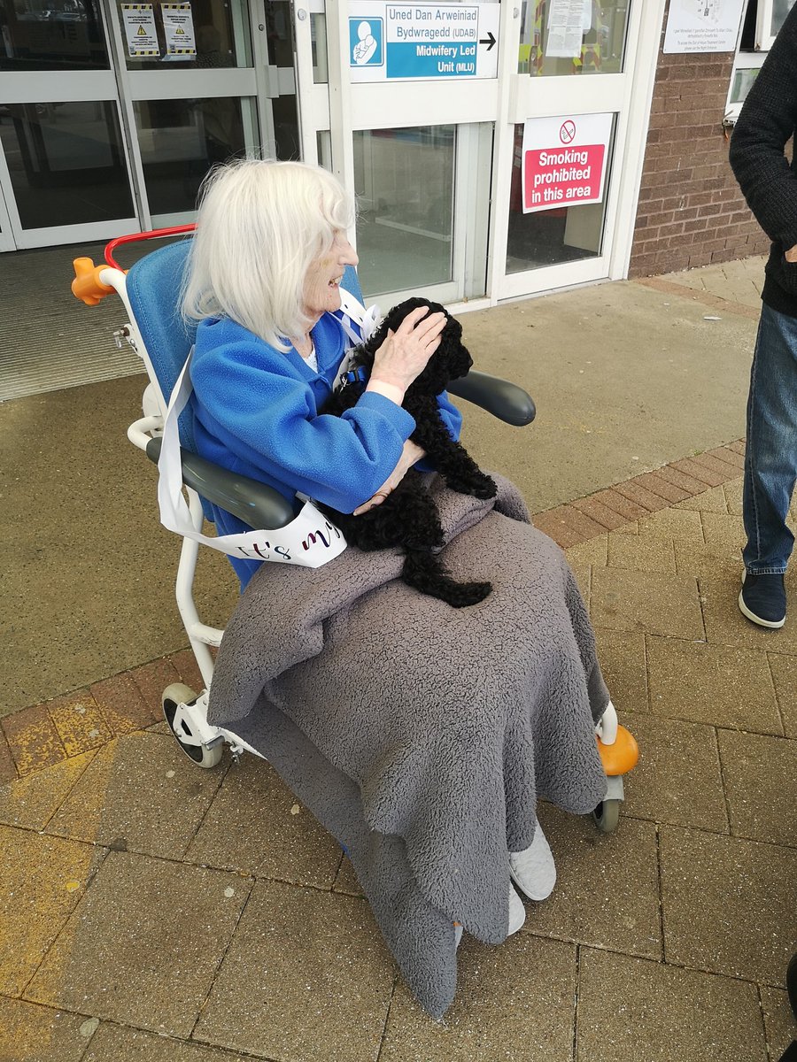 JonnySutts's tweet photo. My Nan was 95 today and for 5 minutes she was allowed out of hospital to meet Ledley

When 'The King' met 'The Queen'

#Ledley #Cockapoo #HappyBirthday #Nan https://t.co/BKaANfIdDe