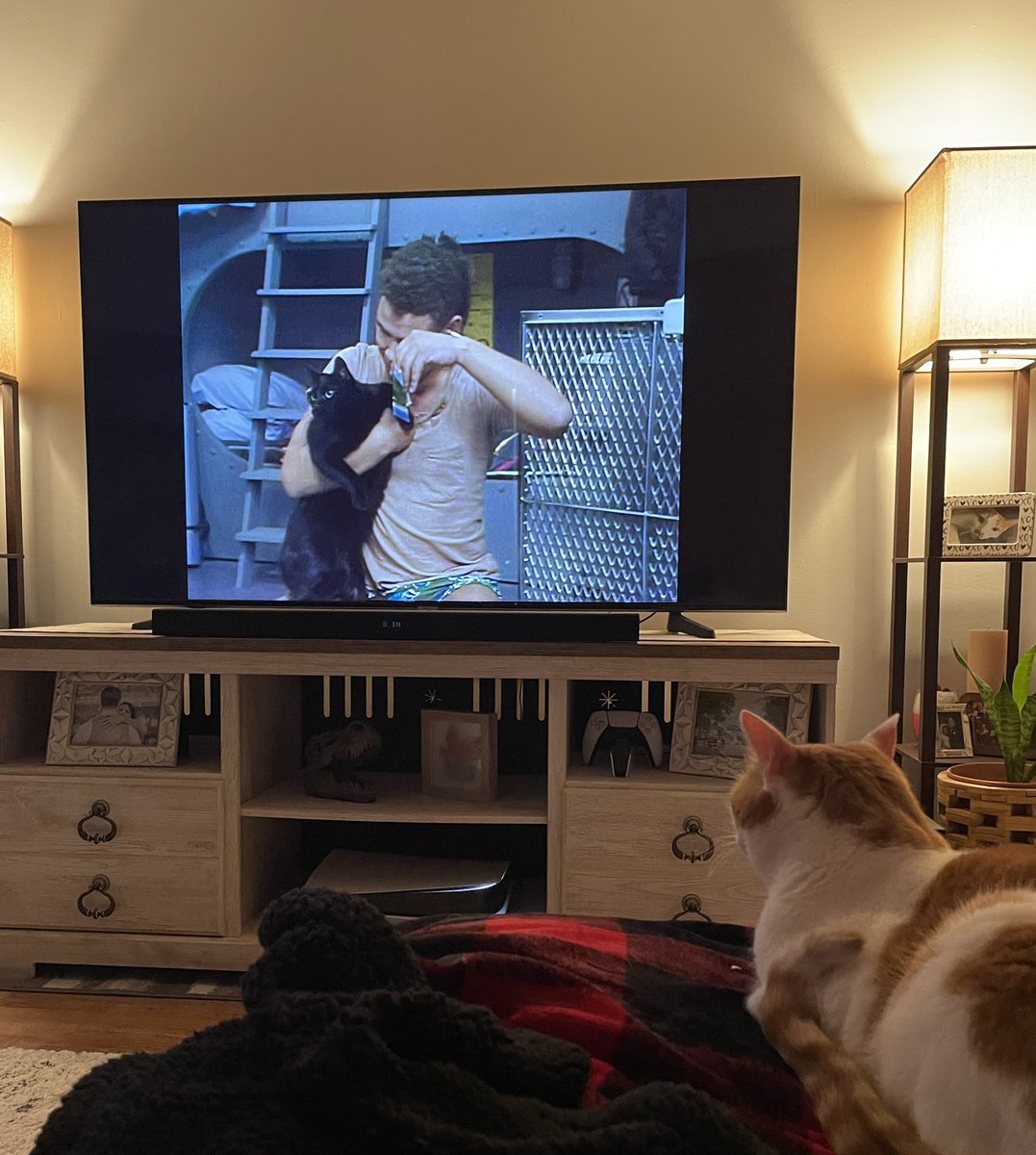 DynamicsCatDad's tweet image. Just the guys this weekend so finally introduced Murray to Red Dwarf.