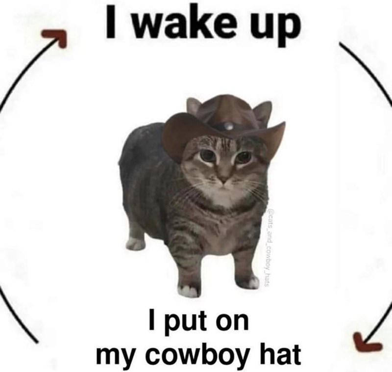 What in Tarnation‽ 🤠 tweet media