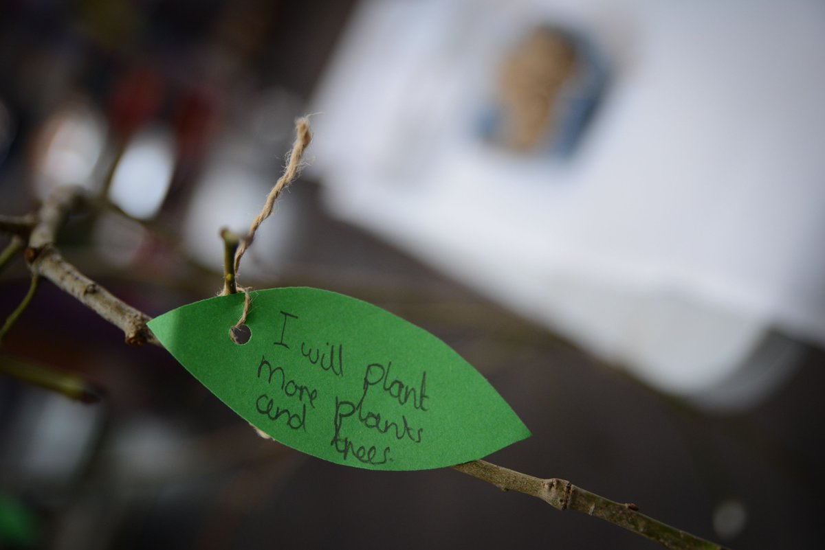 🌎 Happy Earth Day! 🌿 On Saturday Rochdale schoolchildren's Pioneer Poetry Project showed off their creative approach to climate emergency through Green Grants @MuseumDevNW and @GarfieldWeston for #EarthDay #GoGreen #SustainableLiving 🌍💚🌳 Photography CR Ciara Leeming