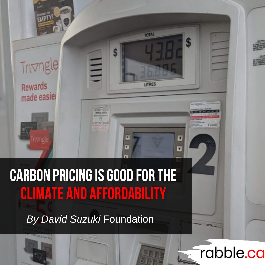 rabbleca's tweet image. 🌎 Reflecting on Earth Day with timeless wisdom from the archives: Carbon pricing for climate and affordability, public conservation, hope as antidote, consideration for landback, and reasons for hope. Let&apos;s act now! 

#EarthDay #ClimateAction #EarthDay2024