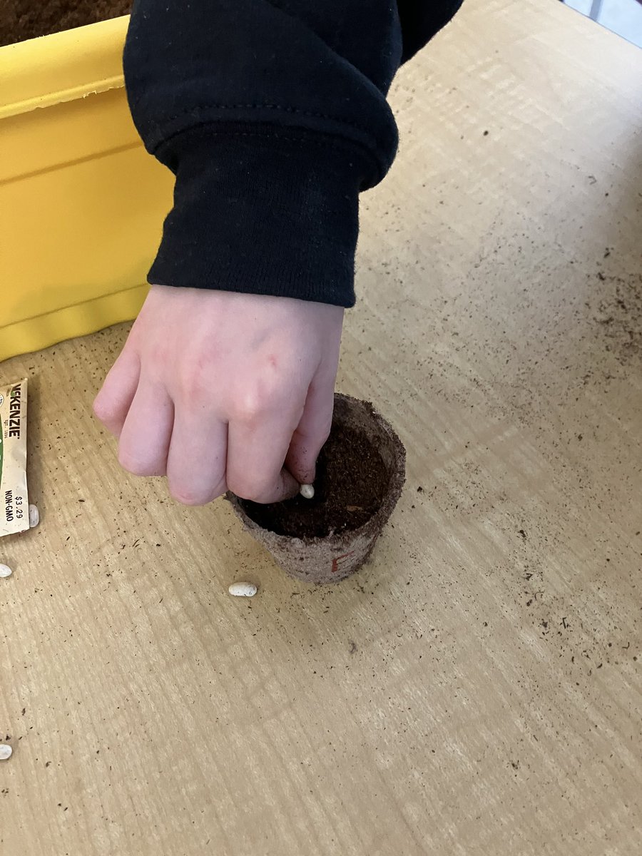 Mr_Gulick's tweet photo. Planting seeds in 3C! @StJuanDiegoOCSB https://t.co/tzUn2VlayZ