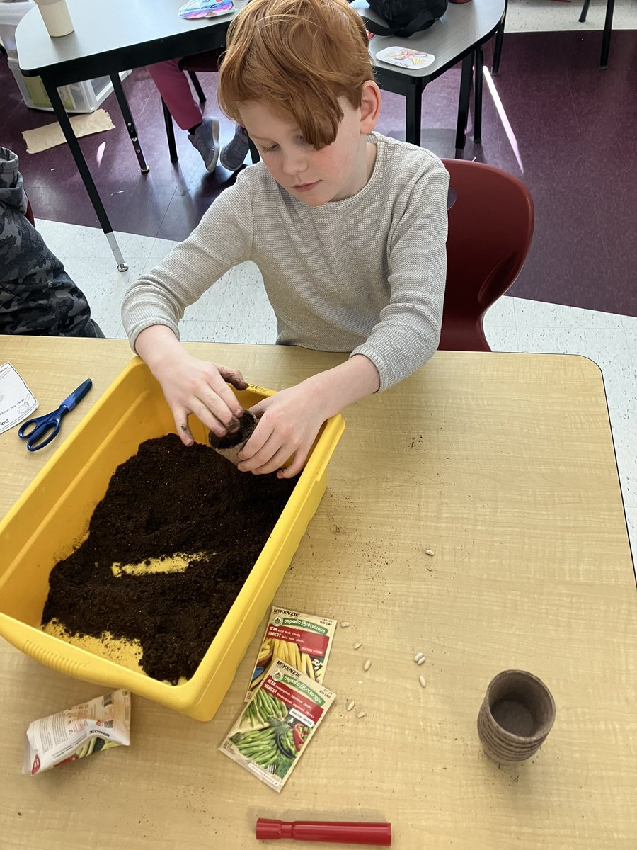 Mr_Gulick's tweet photo. Planting seeds in 3C! @StJuanDiegoOCSB https://t.co/tzUn2VlayZ
