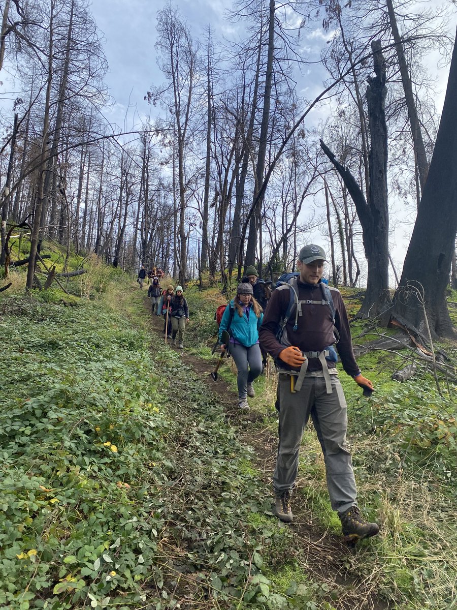 Nico Wolf tweet media