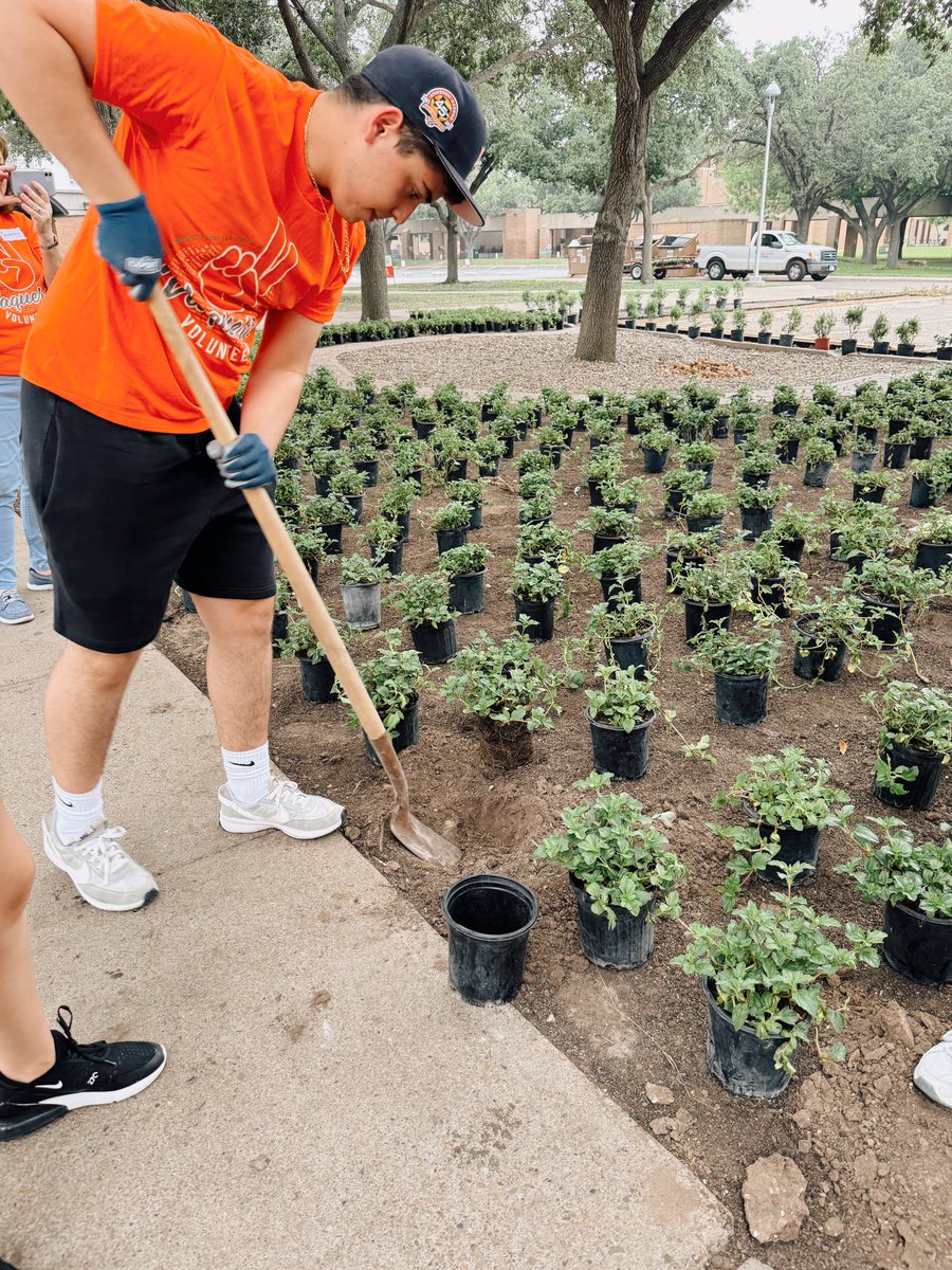PrePA_UTRGV's tweet photo. Pre-PA members at the Vaqueros Day of Service event this past Saturday! 🪴✨ https://t.co/O4pGWrkxfi