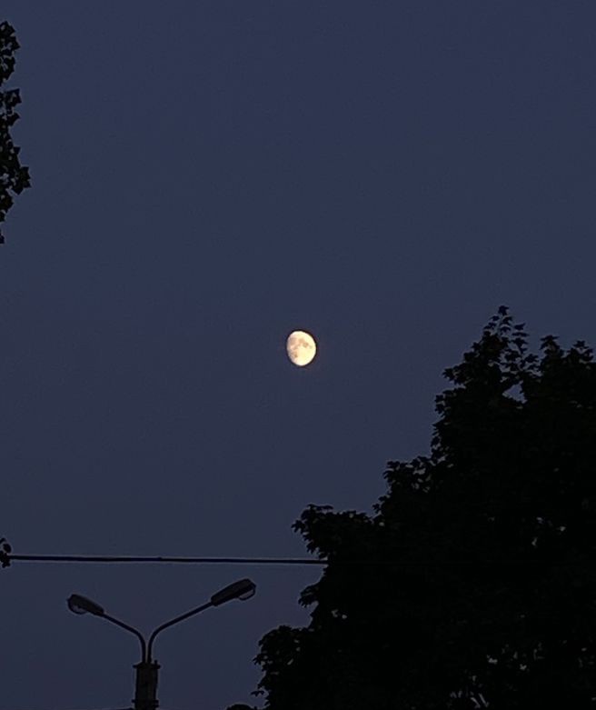 And then the moon asked ' Who made you stare at me? '