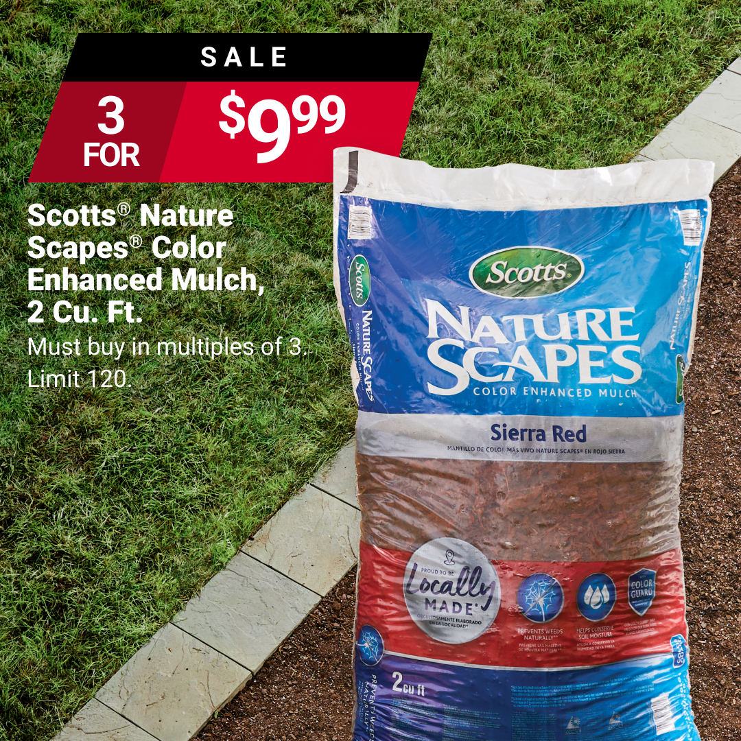 Enhance the natural beauty of your plants and keep them hydrated with savings on Scotts® Nature Scapes® Color Enhanced Mulch, available at Olympia Supply & Ace Hardware. Offer valid through 4/30/2024. Learn more at acehardware.com/local-ad?store… #MyLocalAce