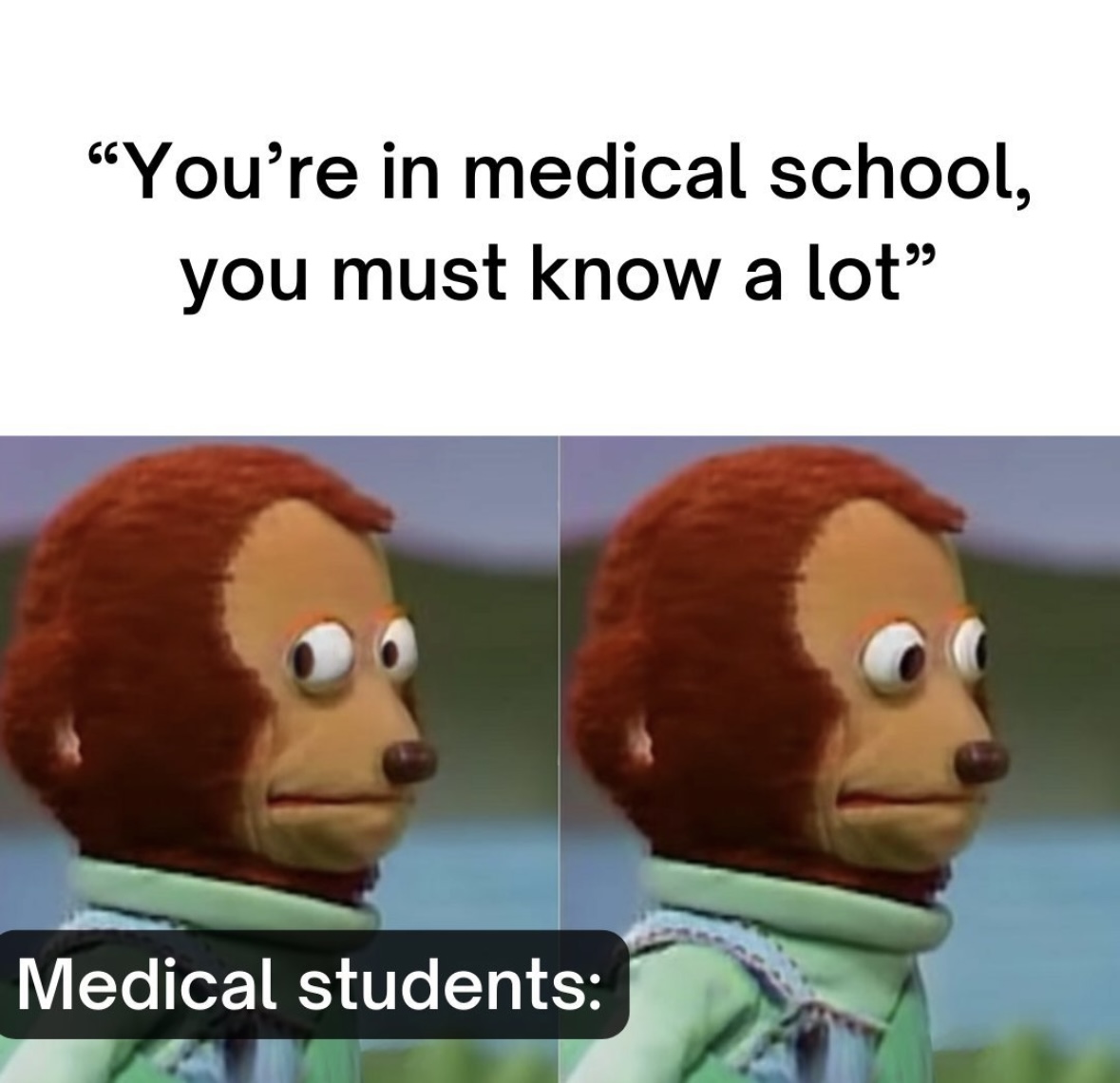 MDReloOmaha's tweet image. #MedMemesMonday

#mdrelo #drmemes #doctormemes #medmemes #relocationservices #medicalprofessionals #matchday #doctor #nurse #hospital #doctors #nurselife #nurses #medstudent