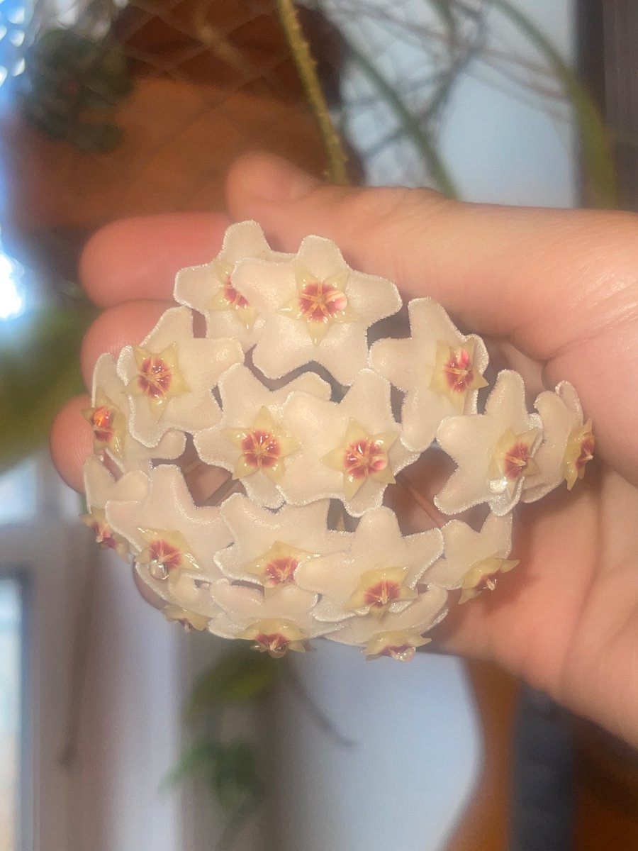 mark grundy tweet media