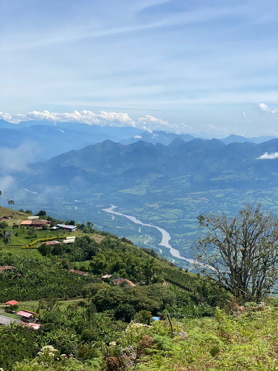 "Cada parte de esta tierra es sagrada para mi gente. Cada brillante espina de pino, cada orilla arenosa, cada rincón del oscuro bosque, cada claro y zumbador insecto, es sagrado en la memoria y experiencia de mi gente".
Carta Jefe indio Seattle #DíaDeLaTierra #JericóSinMinería