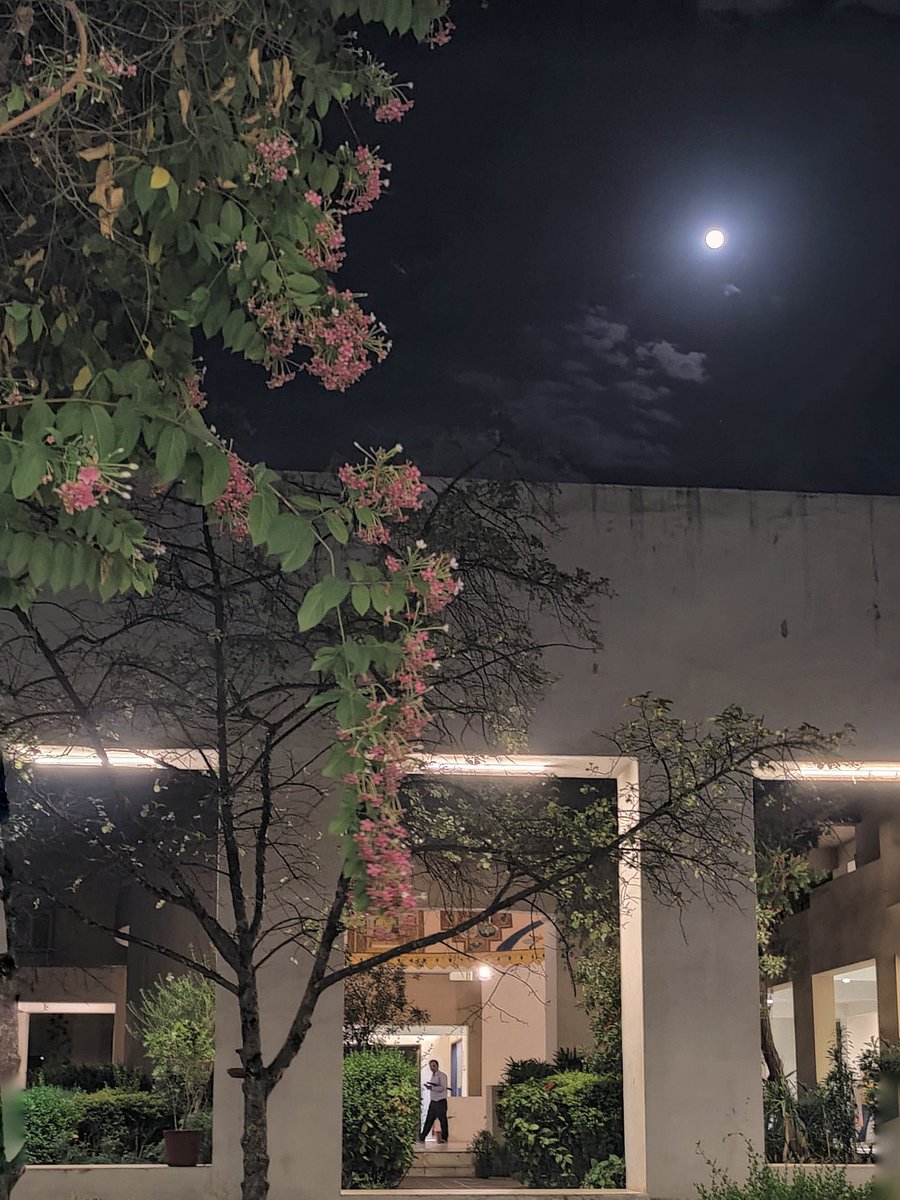The moon, tonight. April Jaipur, 2024