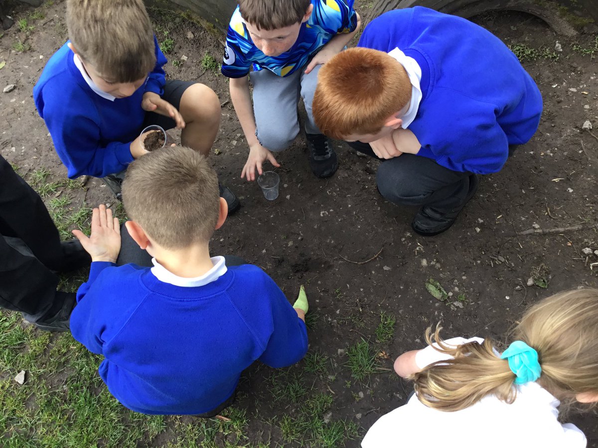 Alty CE Y4 tweet media