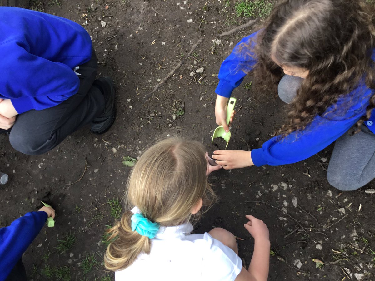 Alty CE Y4 tweet media