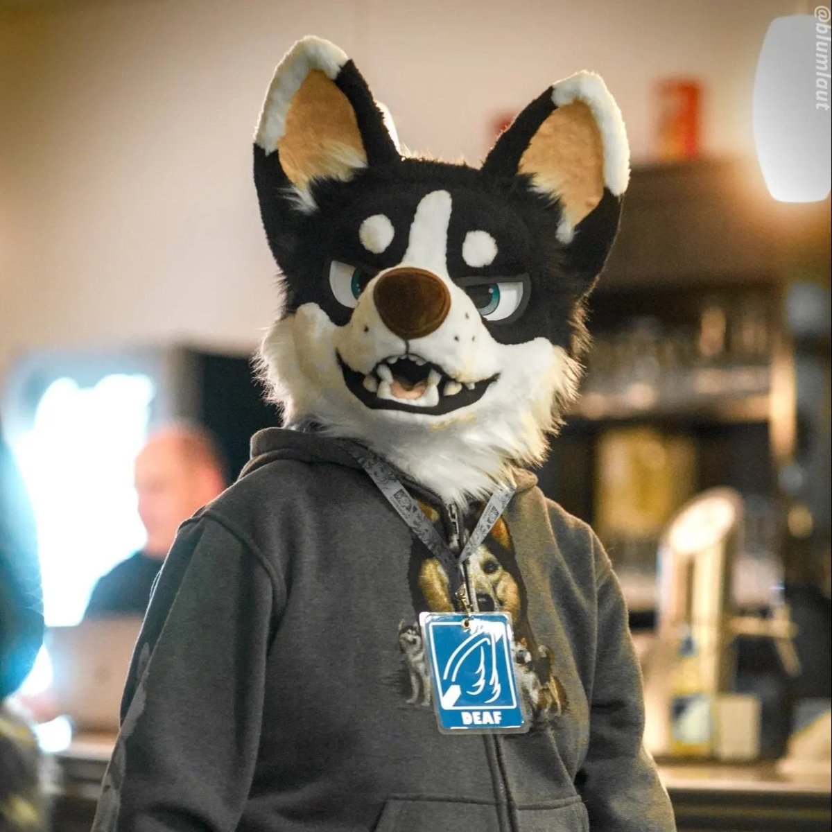 Furry-Stammtisch in Marl