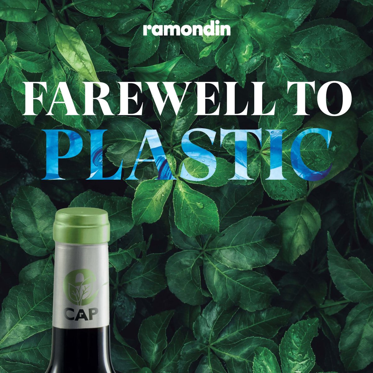 Ramondin.international tweet media