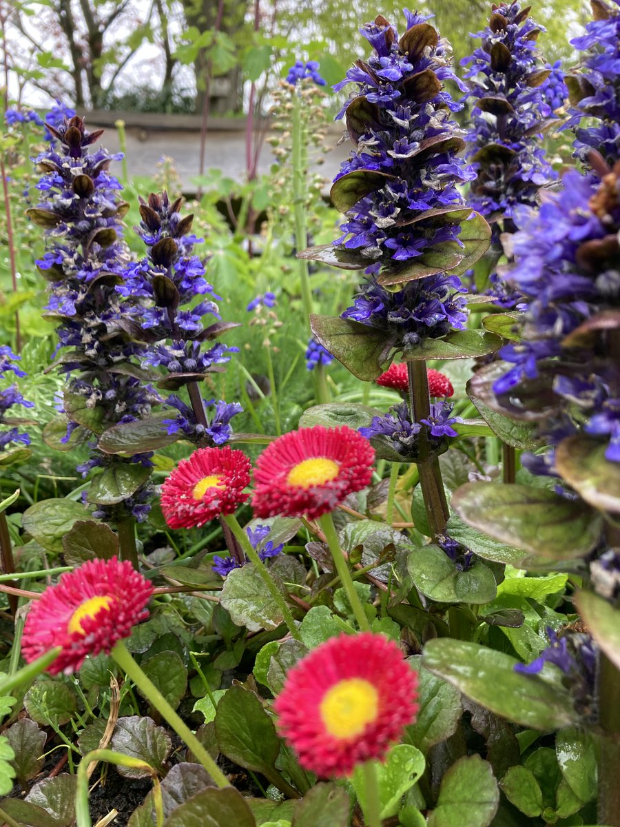 Therapeutic Intervention Service (@nottstiservice) on Twitter photo A chilly & rainy afternoon at our Dementia Hub Highbury garden today. We embraced the time together by sharing stories from the past & spent time admiring all the new growth & beauty around us #greenspace <a href="/NottsHealthcare/">Nottinghamshire Healthcare</a> <a href="/JennyBailey__/">Jenny Bailey</a> <a href="/TessJMcGrath/">Teresa Burgin</a> <a href="/AGChambers2/">Amanda Chambers</a> <a href="/TheLiveTeam_/">Live Team</a> A chilly & rainy afternoon at our Dementia Hub Highbury garden today. We embraced the time together by sharing stories from the past & spent time admiring all the new growth & beauty around us #greenspace <a href="/NottsHealthcare/">Nottinghamshire Healthcare</a> <a href="/JennyBailey__/">Jenny Bailey</a> <a href="/TessJMcGrath/">Teresa Burgin</a> <a href="/AGChambers2/">Amanda Chambers</a> <a href="/TheLiveTeam_/">Live Team</a>
