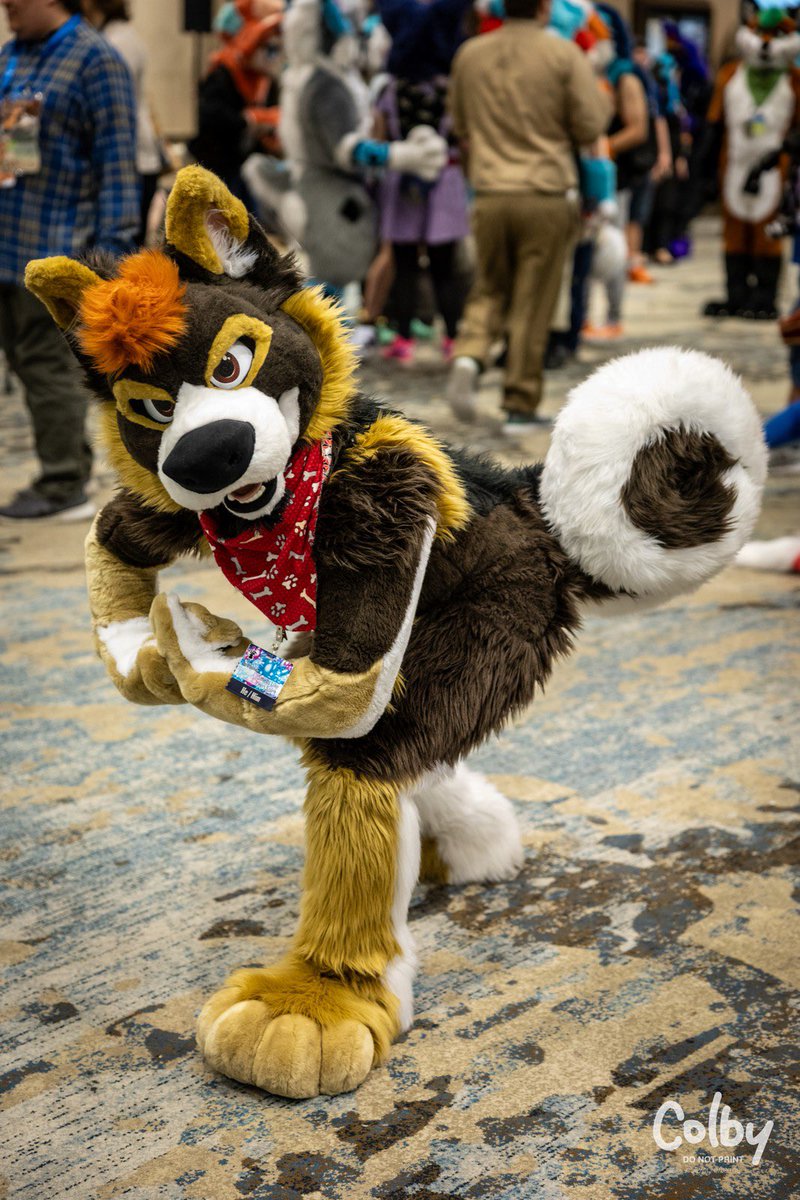 Locking in that CURL POWERRR

📸 @colby_husky
📍 #TFF2024