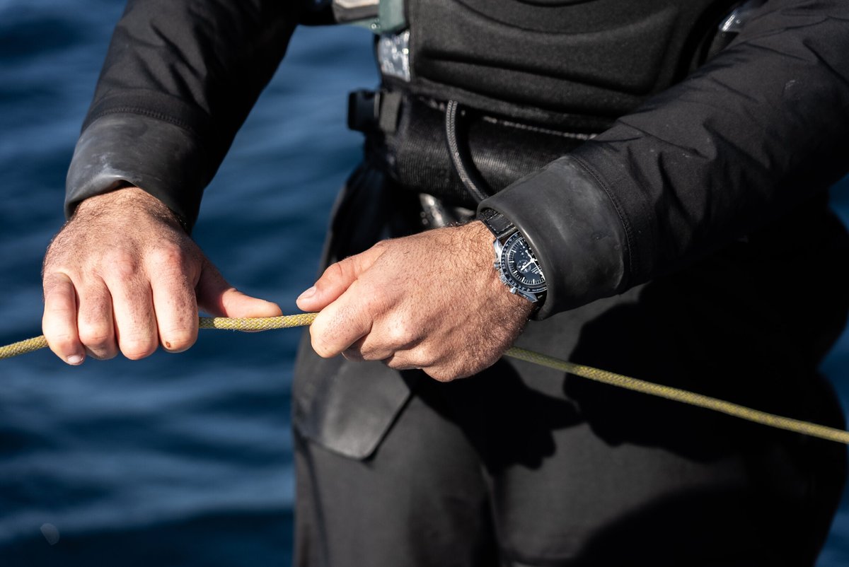 Delapierre Quentin tweet media