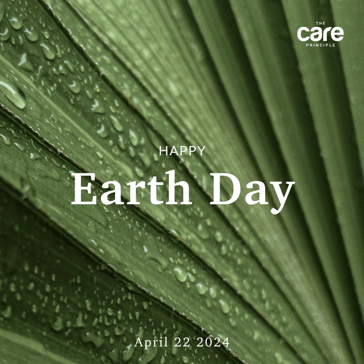 Wishing everyone a most wonderful Earth day, week and year. Check out our Instagram to take part in a fun giveaway this Earth Day and good luck!  🌎 🌱💗🌳