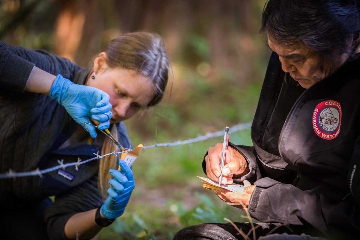 Happy Earth Day! Today, we’re grateful for the leadership of First Nations and other Indigenous peoples, who have been stewarding their territories for thousands of years. 🌍