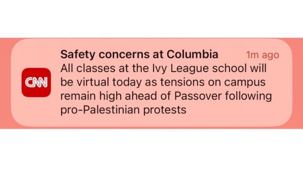Classes are not canceled because of “pro-Palestinian” protests. No one reasonable has any issue with two-state and no one has an issue with opposing Netanyahu. It’s because privileged, pro-terrorist nutjobs are advocating the genocide of Jews, and there’s every possibility