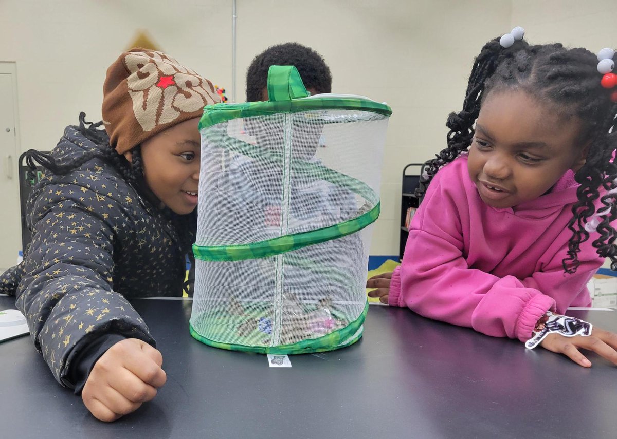 MEM_Parks's tweet photo. Happy #EarthDay! 🌎🌳 Take a look at a recent highlight at Greenlaw Community Center. Greenlaw Community Center grew and released 32 butterflies in partnership with Black Seeds Urban Farms. Thanks, Black Seeds Urban Farms, for partnering with us! 🦋
#memphisparks #bestingreen https://t.co/6sSfFFIRLX
