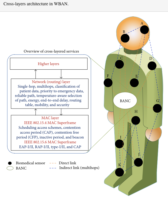 CorinneNokel's tweet image. IEEE 802.15.4 / 65 000 Sensors 

in Vivo #WSNs

#WirelessMedicalNanoSensorNetworks

IEEE 802.15.6 / 256 Biomedical Sensors  

#MedicalBodyAreaNetwork

#WBAN 

2015

#IntraBodyNanoSensorNetwork

#BioMedicalSensors #BMSs