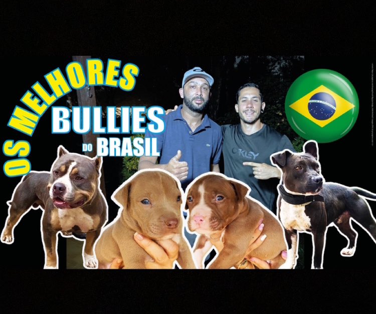 gameness_yard's tweet photo. VIDEO NOVO NO CANAL 🔥

https://t.co/ovKBTMann0 https://t.co/yeImBXVqc8