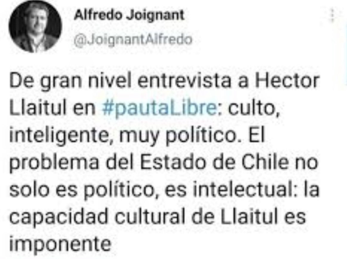 Paraponera (@_clavata_) on Twitter photo 