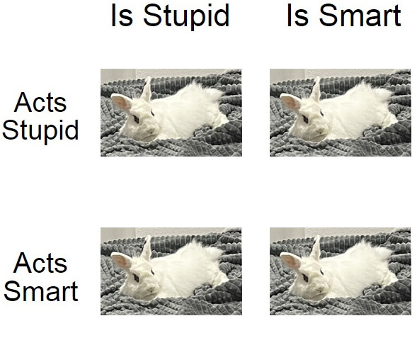 meieff Out of Context (@oocmeieff) on Twitter photo 