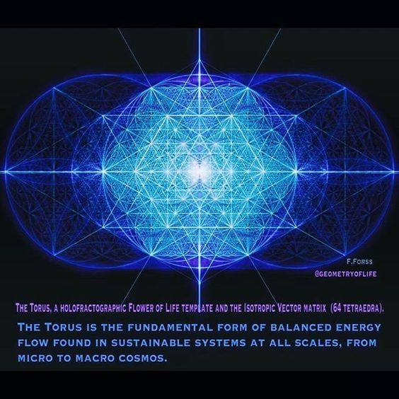 @jfkjrfan Q, The Quantum Singularity-'String'-U-Lari-Tree and the Holo-Fractal Toroidal Universe

Quantum String-U-Lari-Tree

Biological String-U-Lari-Tree

Neurological String-U-Lari-Tree

Christological String-U-Lari-Tree

  'A Human Being, a is part of the Whole called by us the