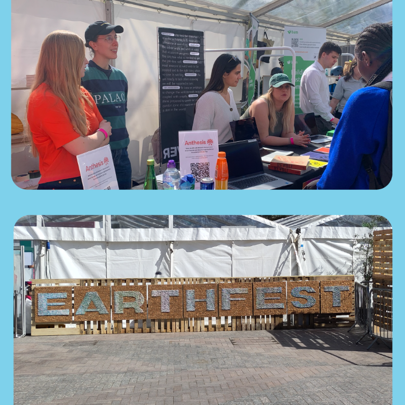 anthesis_group's tweet photo. It was great to be part of @EarthfestWorld's Career Fair 🌎 On 18 April, +1,000 students were part of inspiring talks &amp; workshops with a focus on #sustainability, plus discussions on avenues into #sustainabilitycareers led by our Anthesis experts. See highlights below 👇
