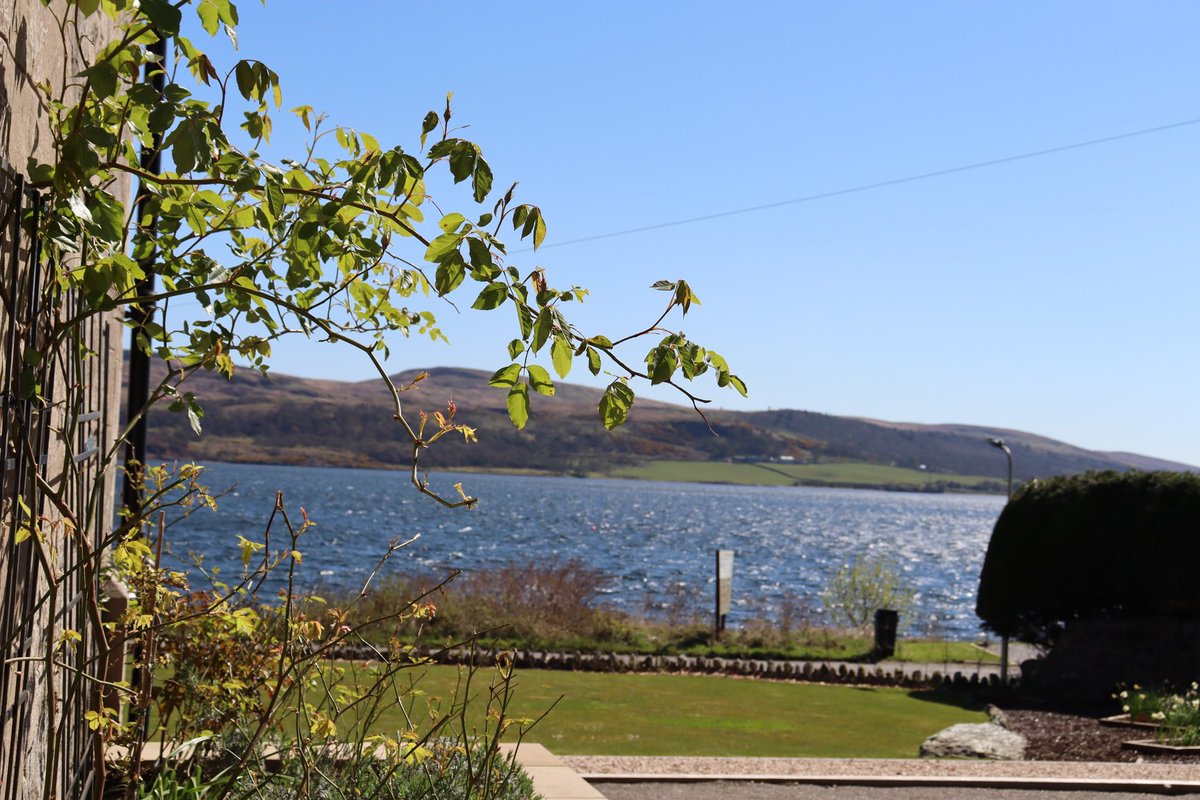The Hollies Argyll (@holliesargyll) on Twitter photo 5 years this seek since we bought The Hollies - and to celebrate #EarthDay2024 we are delighted to partner with <a href="/treesforlifeuk/">Trees for Life</a>, who are dedicated to rewilding the Scottish Highlands. We will plant a tree for each new booking and guests can also plant a tree in our grove. 5 years this seek since we bought The Hollies - and to celebrate #EarthDay2024 we are delighted to partner with <a href="/treesforlifeuk/">Trees for Life</a>, who are dedicated to rewilding the Scottish Highlands. We will plant a tree for each new booking and guests can also plant a tree in our grove.