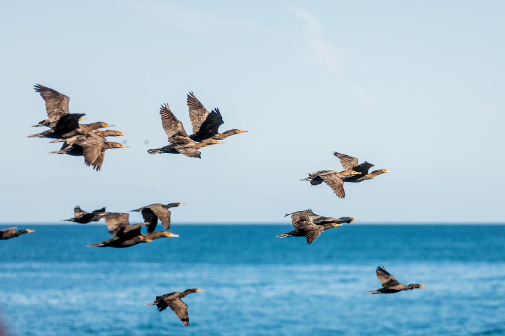 Hoy 22 de abril es el día internacional de nuestra madre tierra 🌎 Celebremos con la conciencia de que esta, nuestra casa, nos la han prestado las próximas generaciones. ¡Cuidémosla! #Pachamama #MadreTierra (📸 Aarón Alcaraz)