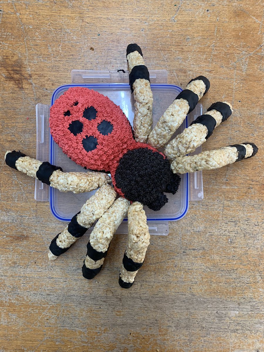 Made a ladybird spider cake for the @DorsetWildlife #Brownseabiggive cake sale at HQ. A crossover with the #SpeciesRecoveryProgramme Not completely accurate without the pedipalps and too much white on the legs 🤷🏻‍♂️ but worth it for a good cause! #spider #cake @BritishArachno1