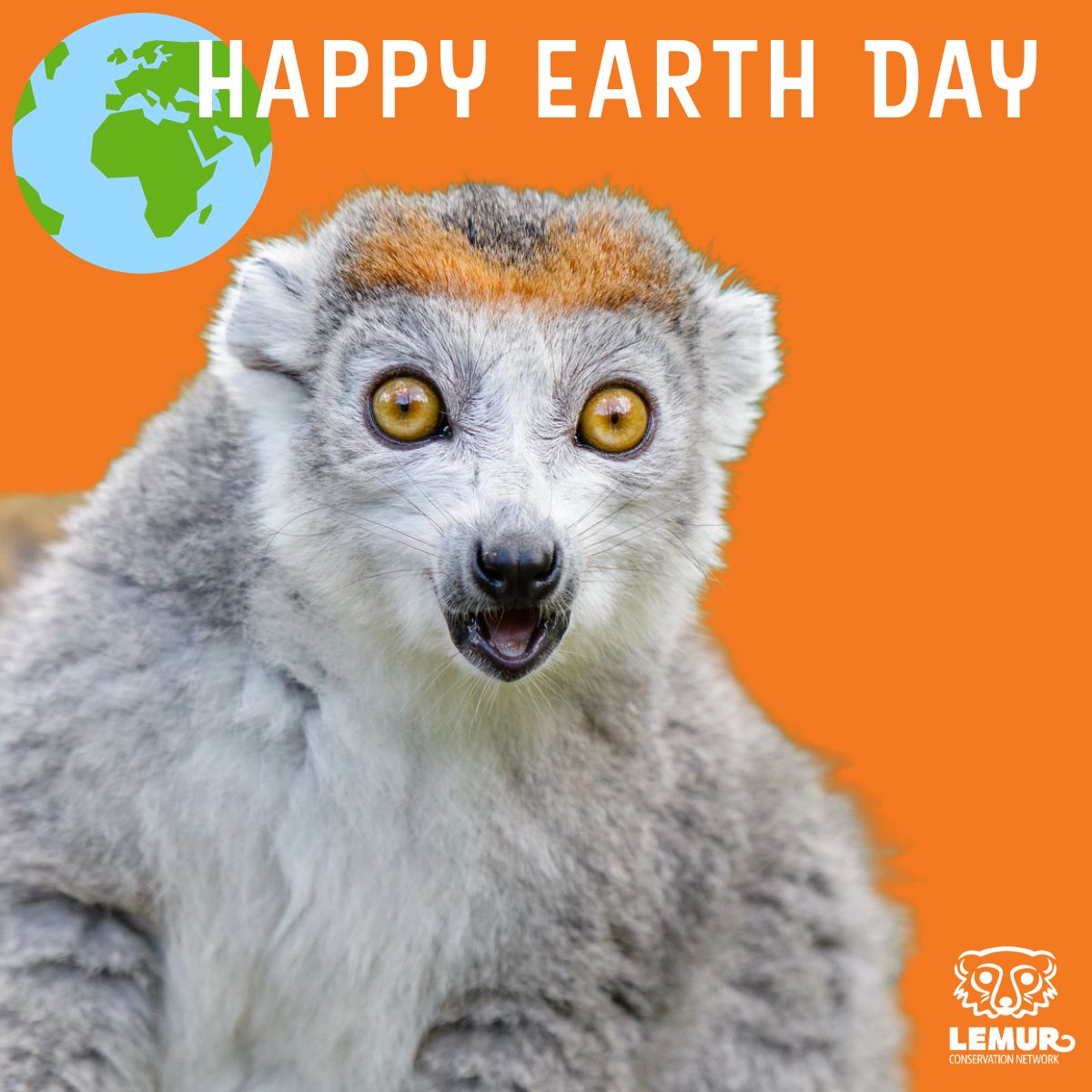 Earth Day is a reminder of the interconnectedness of all life on our planet. Let's honor this day by standing up for the protection of lemurs, their habitats, and the people working tirelessly to take care of their communities. 📷: Mathias Appel #EarthDay #EarthDay2024