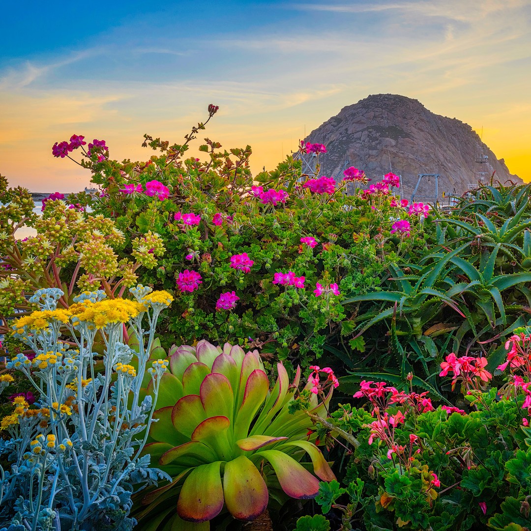 morrobaytravel's tweet photo. Happy Earth Day, Morro Bay! 🌎
Let's celebrate by exploring the natural wonders of Morro Bay and pledging to protect our planet. Join the movement to #RespectTheRock this Earth Day and beyond.
📸: don_smith_photography via Instagram https://t.co/JJMaXuXTET