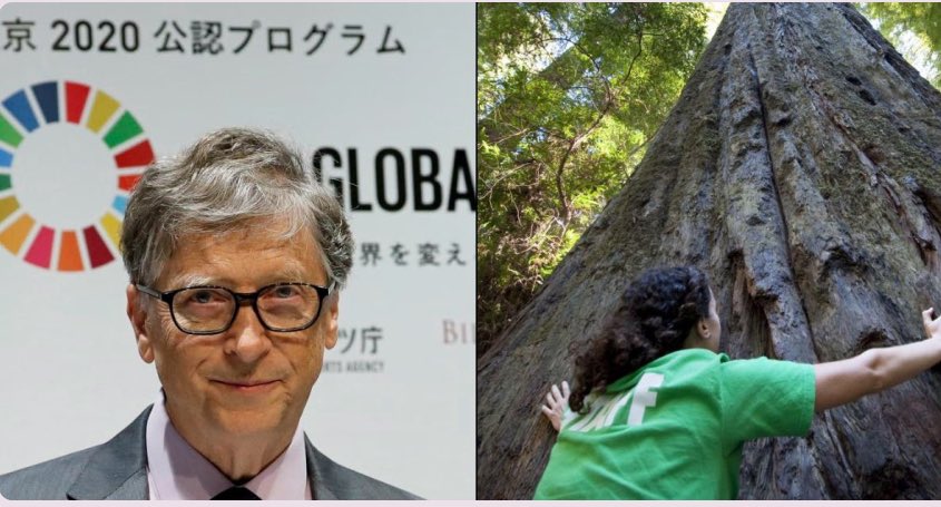 Bill Gates 70 milyon hektarlık bakir ormanın ormansızlaştırılmasını finanse ediyor; ardından ormanlar “iklimi kurtarma” çalışması yapılacak. Bodrum, Antalya benzeri çalışmalar.. Bilerek yakıyorlar her yeri! “Forbes'a göre Bill Gates, geniş orman alanlarını temizleyerek ve