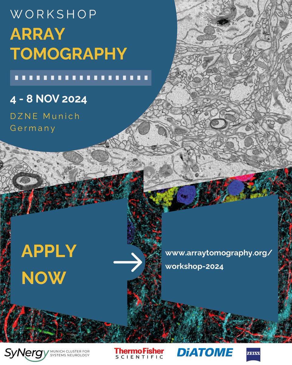 For all Array Tomography enthusiasts: Apply now for our AT workshop in Munich, Germany: arraytomography.org/workshop-2024.… #volumeEM #CZI #arraytomography #CLEM #electronmicroscopy
