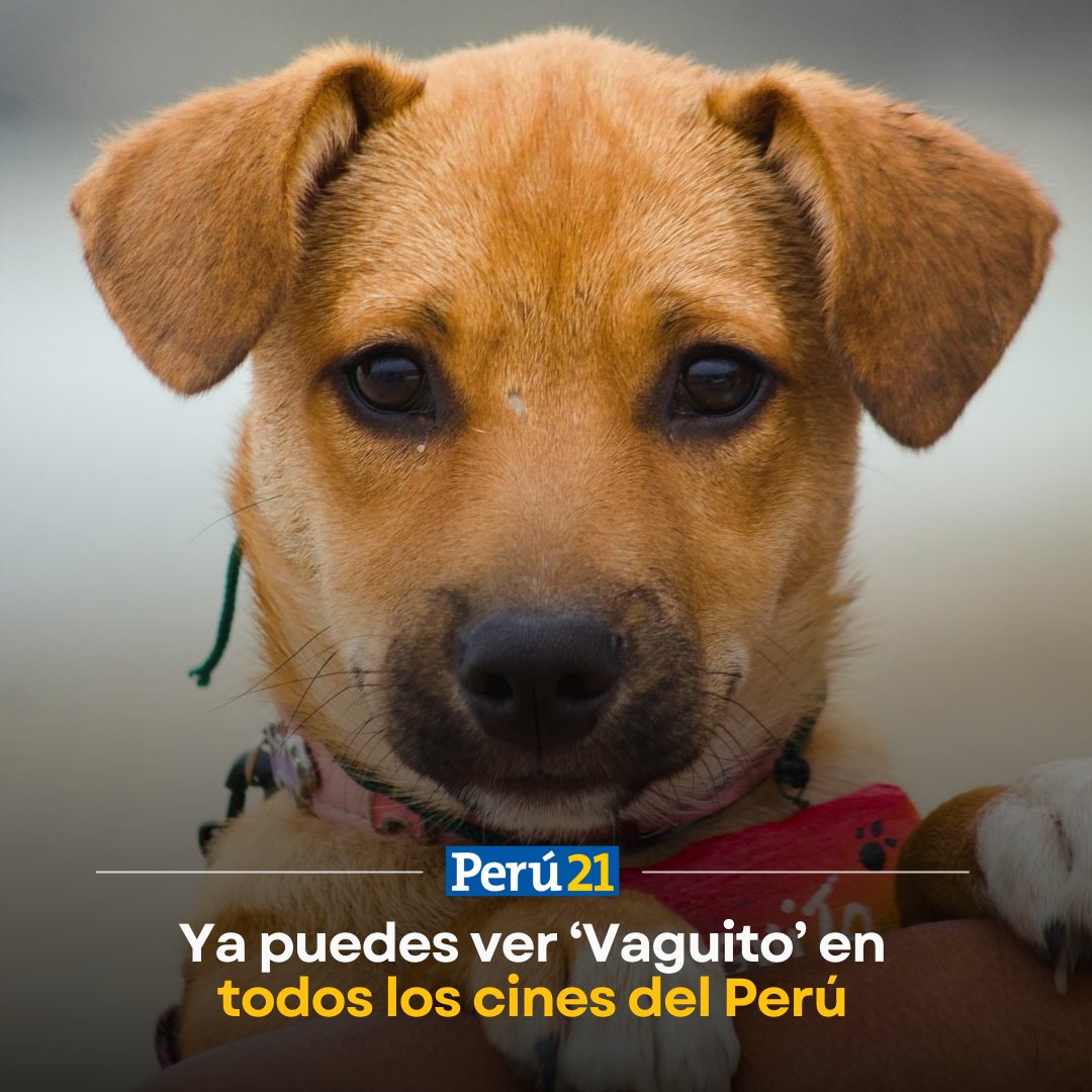 Perú21 tweet media