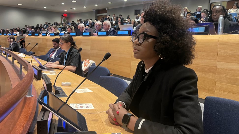 'In civil society we like to say if you’re not at the table you’re on the menu – and this was the case. The rules that were established to govern the financial architecture were developed in favor of the countries that were present then.' - @chenaimukumba #FfDForum 2024 #Fin4Dev