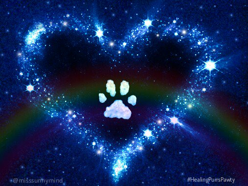 ☆☆#HealingPurrsPawty☆☆ #wlf Big FANX YOO 2 all who came 2 diz wunnerfurl pawty 2 honor our palz OTRB! 💞 Cya next Furriday! Speshual fanx 2 @RealFakeGator @PeytonReads @healingpurrs @danapixie @catgirl321 @PuppyNumber7 (n @4catsstrapski Bode n mum Sylvia, fureva wif uz 🌈)