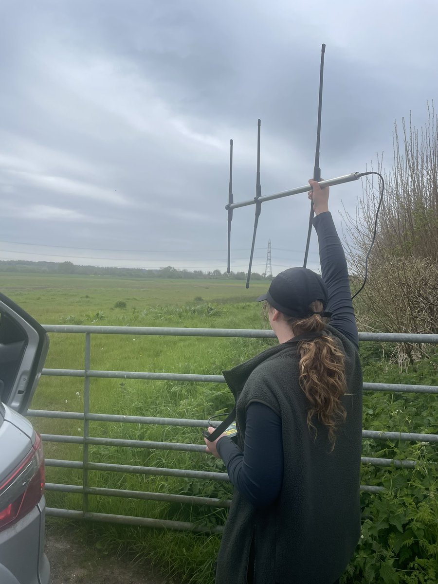 LydiaFarnell's tweet photo. Radio tracking tagged lapwing chicks! They were very cute but couldn’t get a great photo only got a very grainy one. 
#lapwing #conservation #birds 
@Gameandwildlife https://t.co/ZXQwOYkYyv