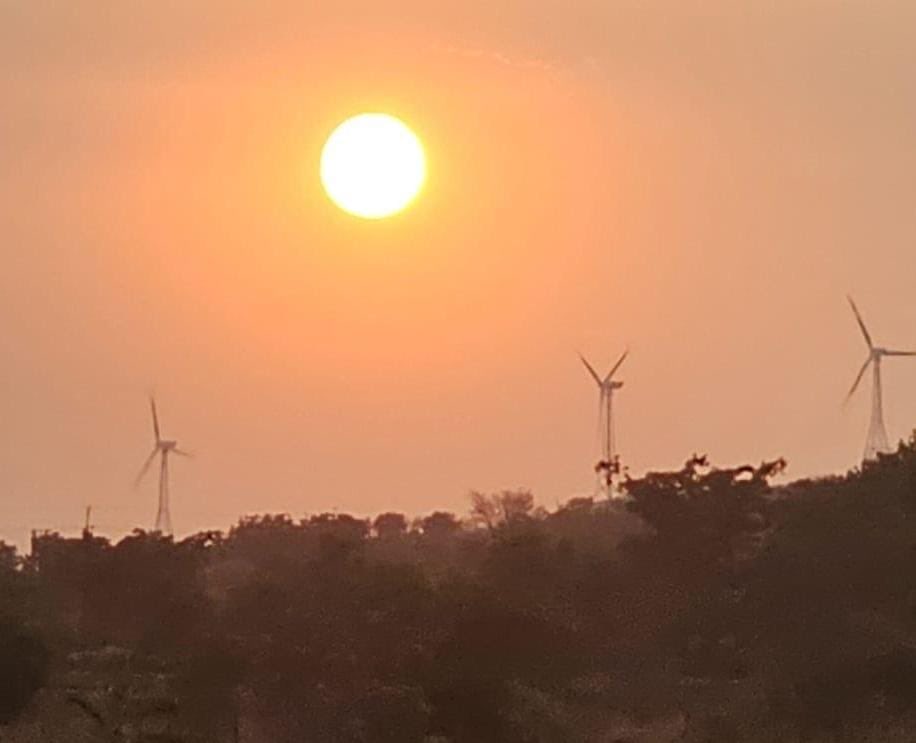 Even the sun needs fans - nice click by Ajit Chigteri