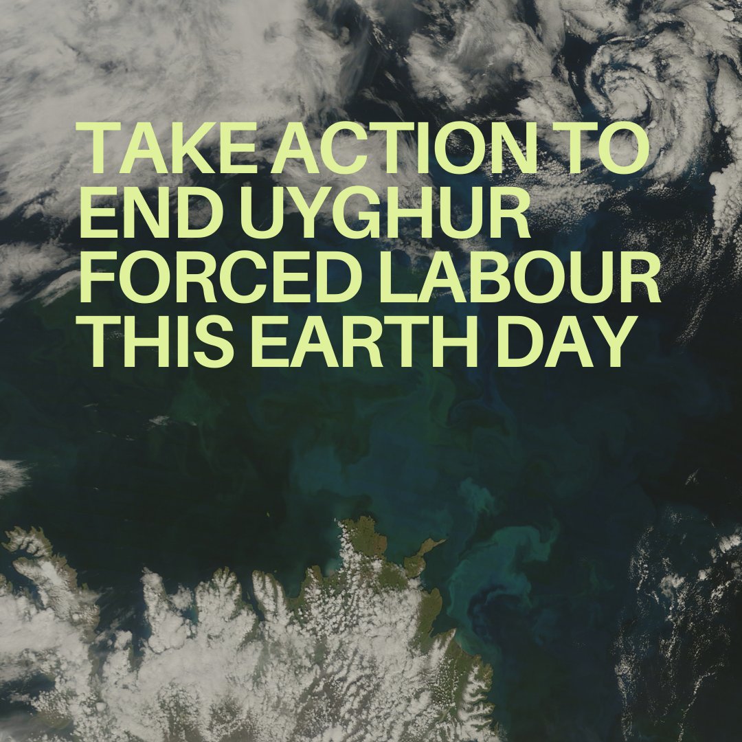 1/4 This #EarthDay🌍, we want to highlight the need for solutions that address both the climate crisis & human rights. Fossil fuels are deeply interlinked with state-imposed forced labour in the Uyghur Region.