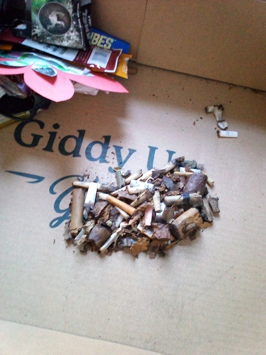 MoneyTimeDaily's tweet image. Day 1. Had found an answer. What I have now.