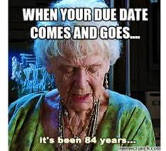 Sarah West tweet media