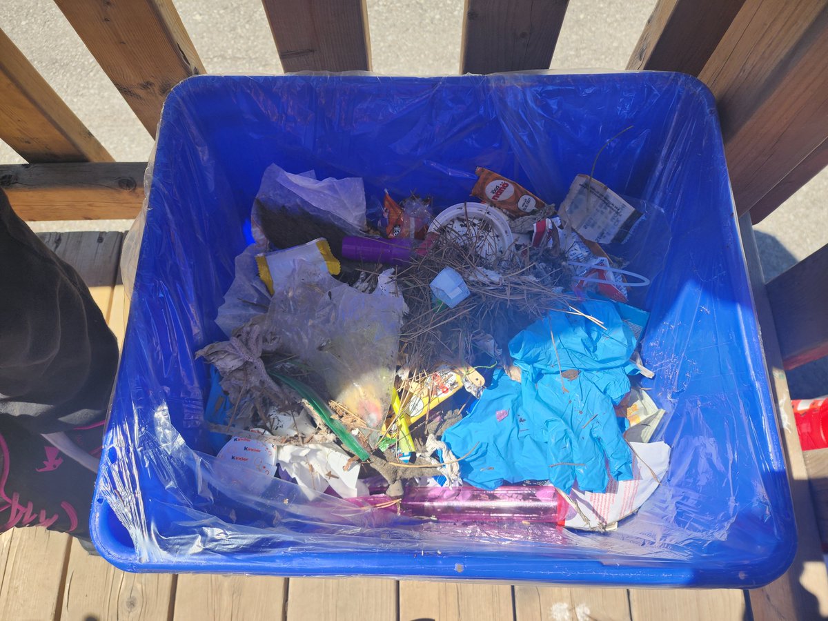 #Earthday2021 @TCDSB @StLawrenceTCDSB - an awesome example of when the message has hit home. Period before A.M. recess,  we discussed the #GreatPacificGarbagePatch. In lieu of playing, ss took the #initiative to clean up the yard & it continued during lunch recess 👏 👏 👏 👏 👏